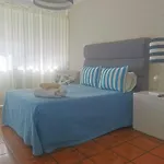 Madeira Apartment Nazare